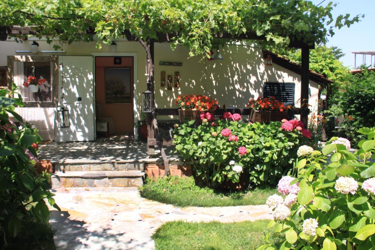 Fasoli Studios Paralia Panteleimonos Exterior foto